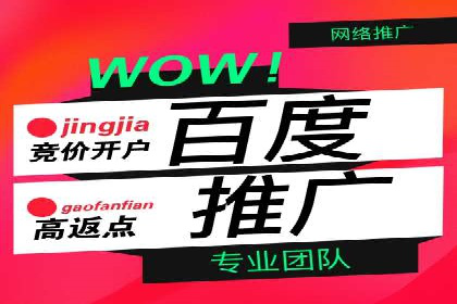 某企业SEM广告投放的ROI提升策略及效果展示
